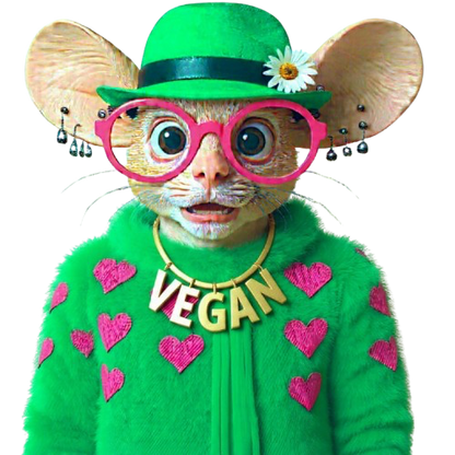 Plant Based Cashew Parmesan Cheeze